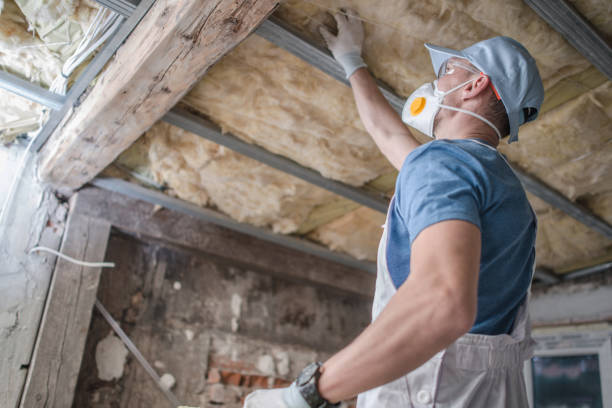 Best Residential Insulation in Davis, OK