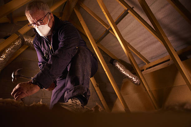 Best Commercial Insulation in Davis, OK