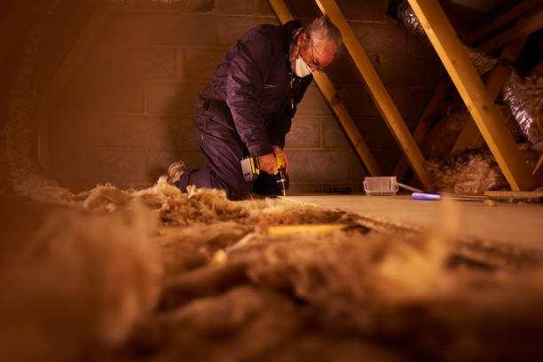 Best Specialized Insulation Services in Davis, OK