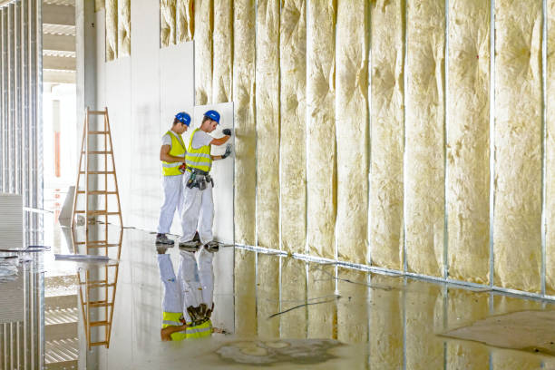 Best Cellulose Insulation in Davis, OK